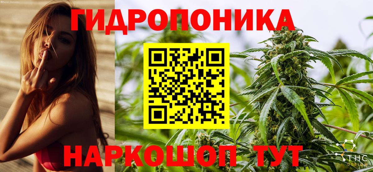 Бошки марихуана AK-47 Изобильный